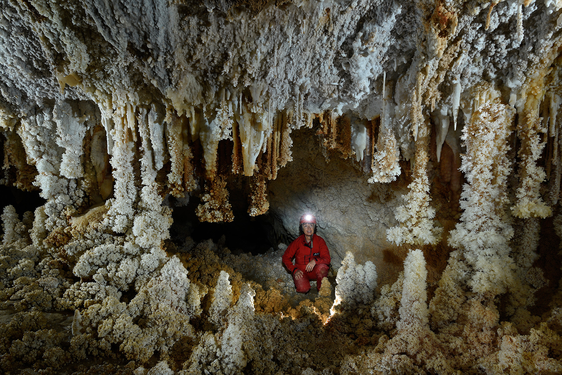 Grotte di Toirano (Italie) - Alcôve tapissée de cristaux d'aragonite