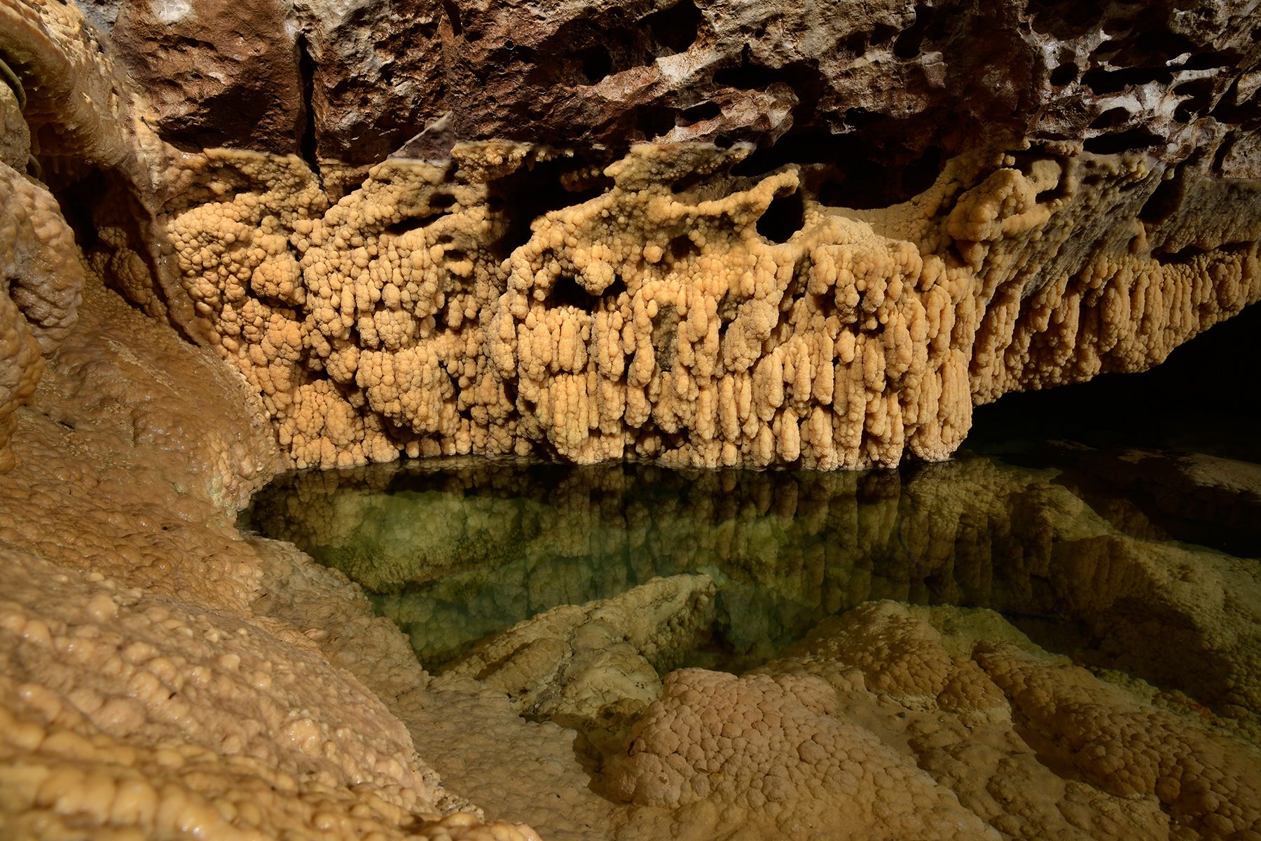 Grotte de Vallorbe (Suisse) - Petit gour surmonté de baguettes (partie aménagée)