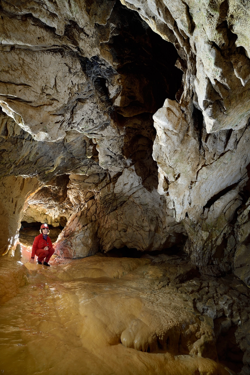 Grotte de Vallorbe (Suisse) - Le jaune des coulées de calcite contraste avec la roche claire constituée par des calcaires d'âge jurassique (partie aménagée).
