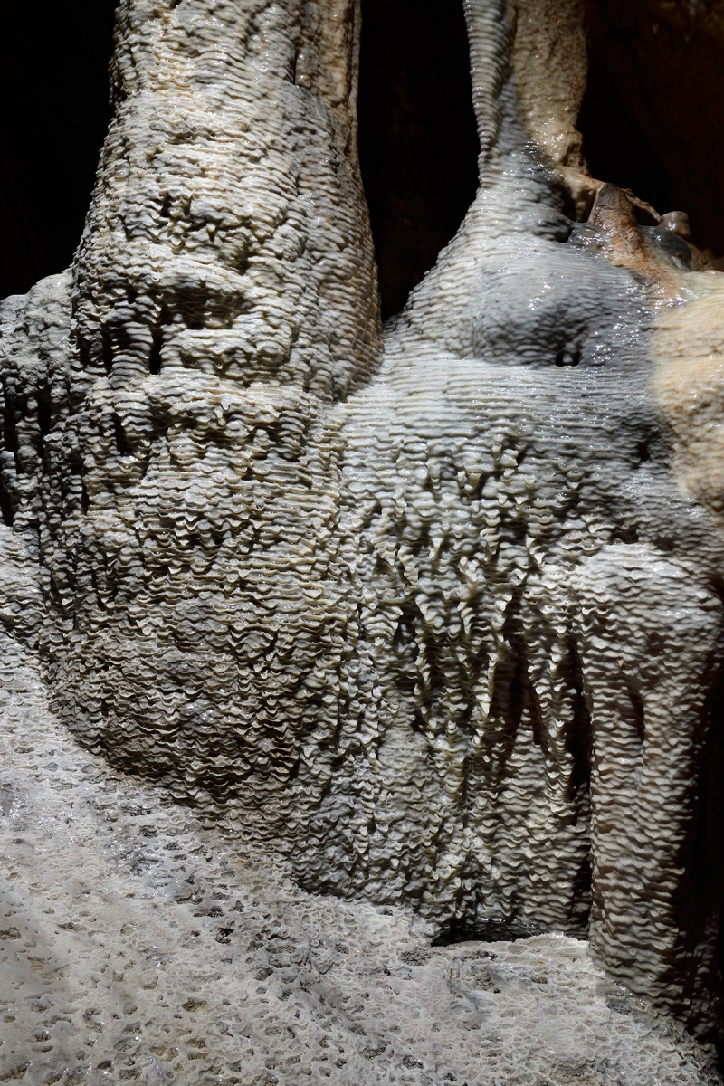 Dechenhöhle (Iserlöhn, Allemagne) - Détail de micro-gours sur des stalagmites (partie aménagée)