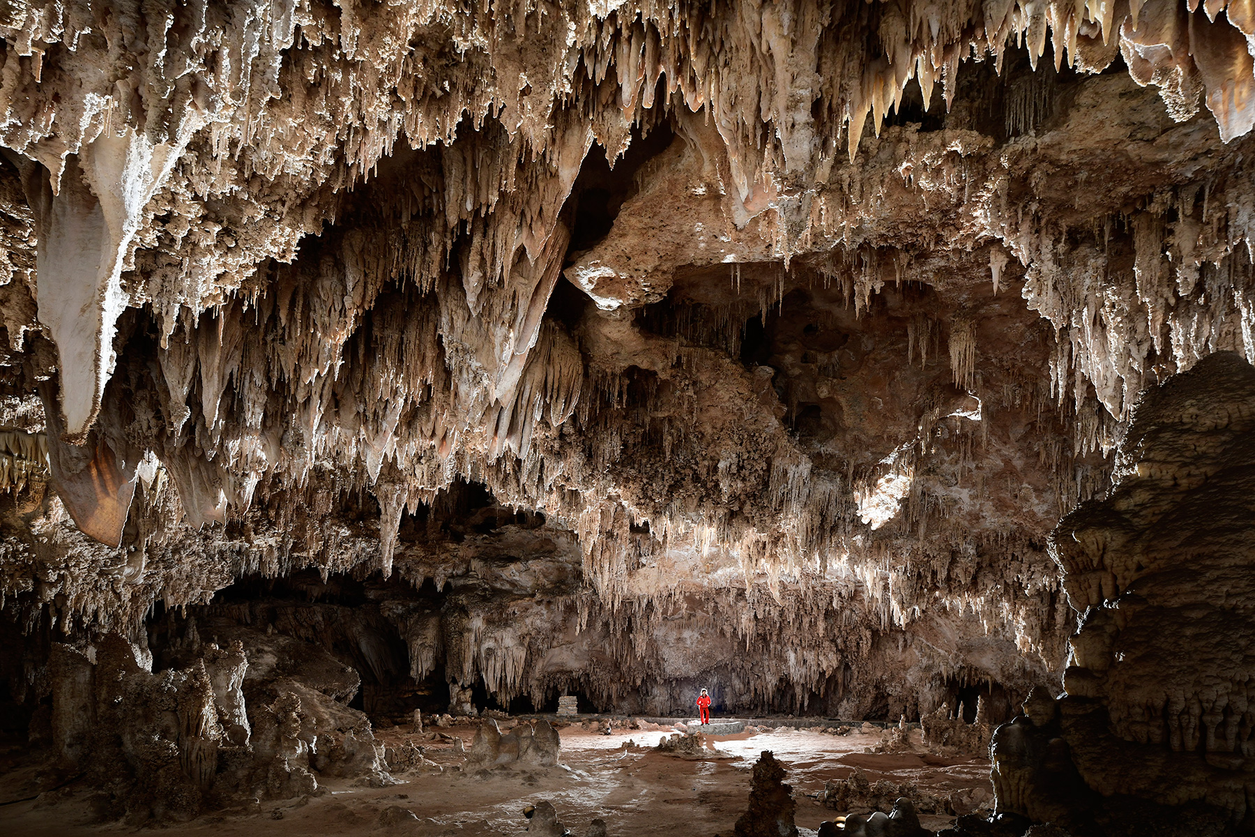 Carlsbad Cavern (USA - Nouveau Mexique) - Grande salle de King's Palace au fond de la partie touristique