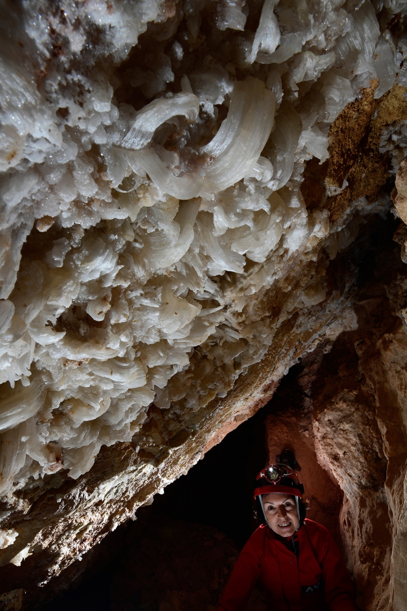Cottonwood Cave Second Parallel  (USA - Nouveau Mexique) - Paroi couverte de fleurs de gypse avec spéléo en fond