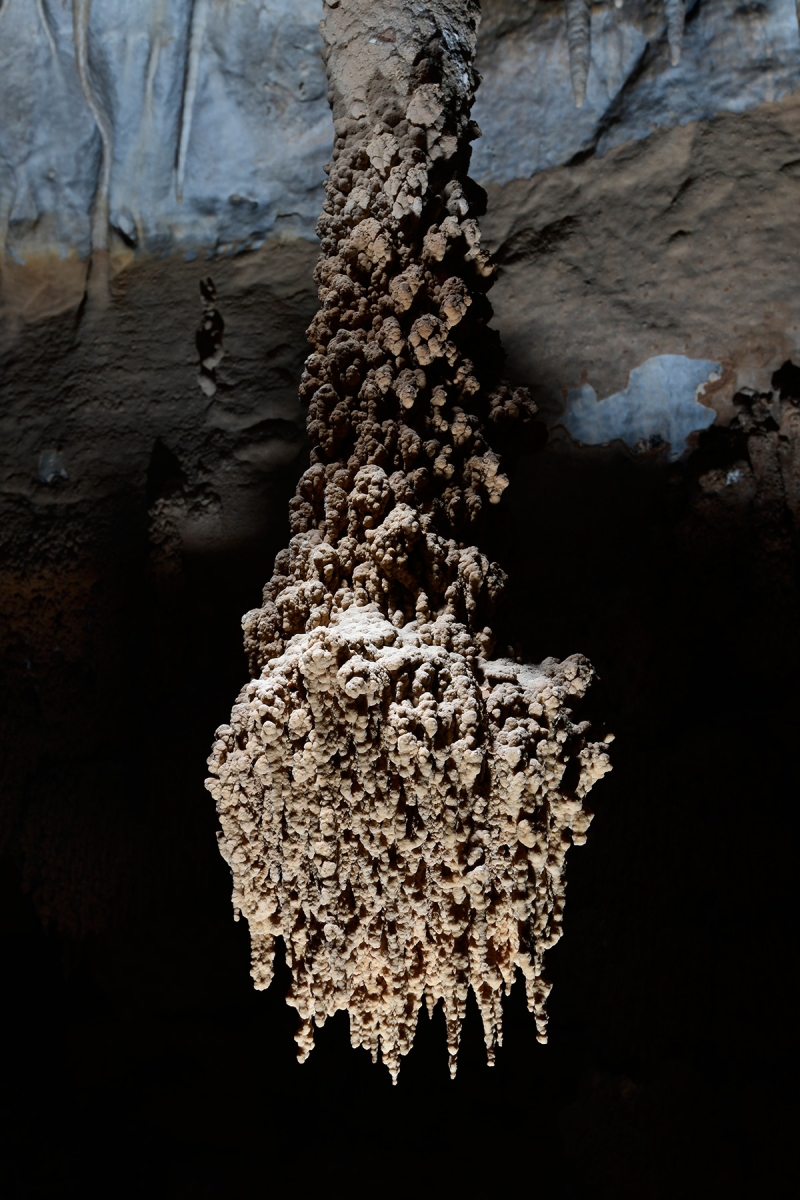 Cottonwood Cave Second Parallel (USA - Nouveau Mexique) - Détail d'une stalactite couverte de baguettes de gour