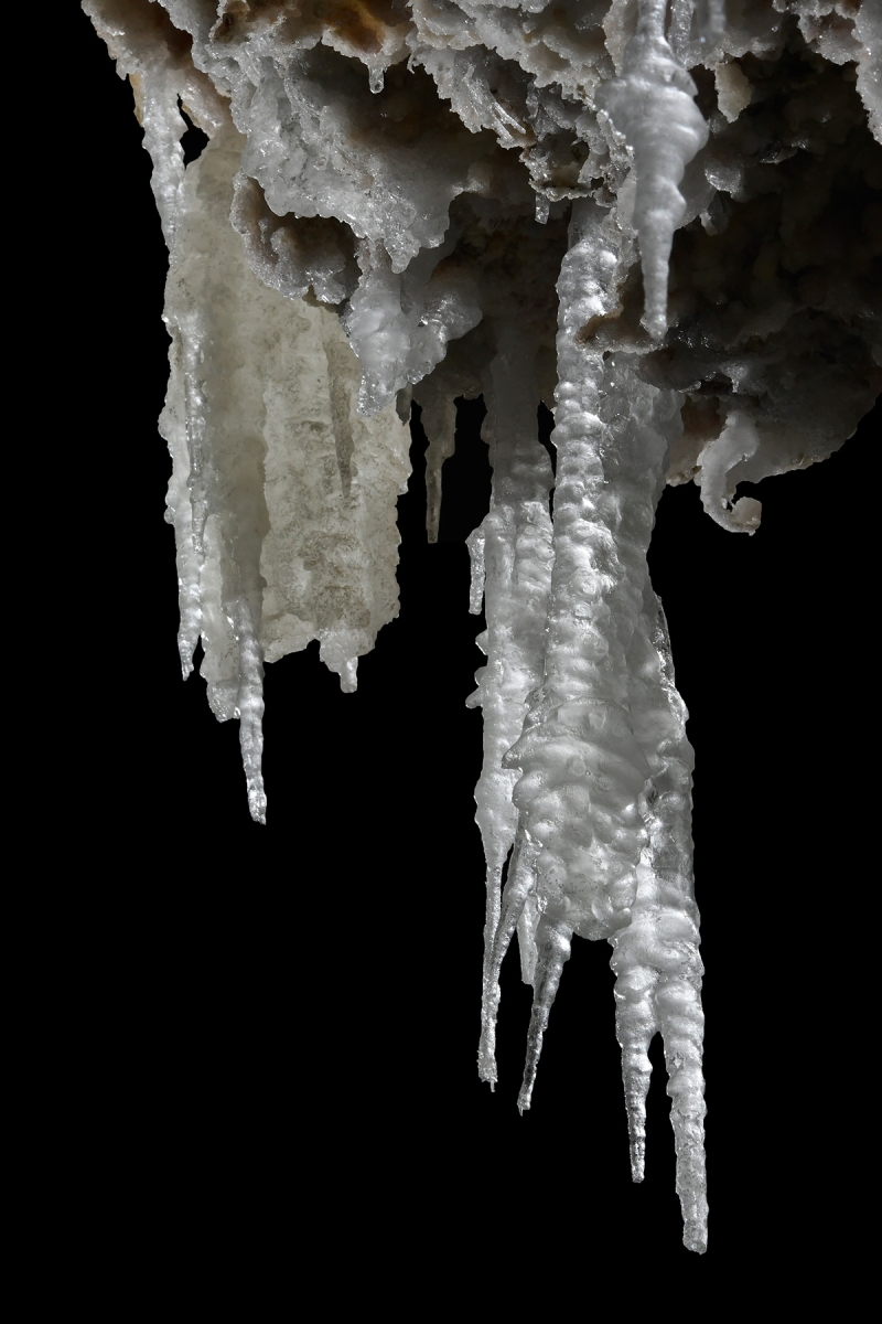 Cottonwood Cave Second Parallel (USA - Nouveau Mexique) - Stalactites d'epsomite translucide