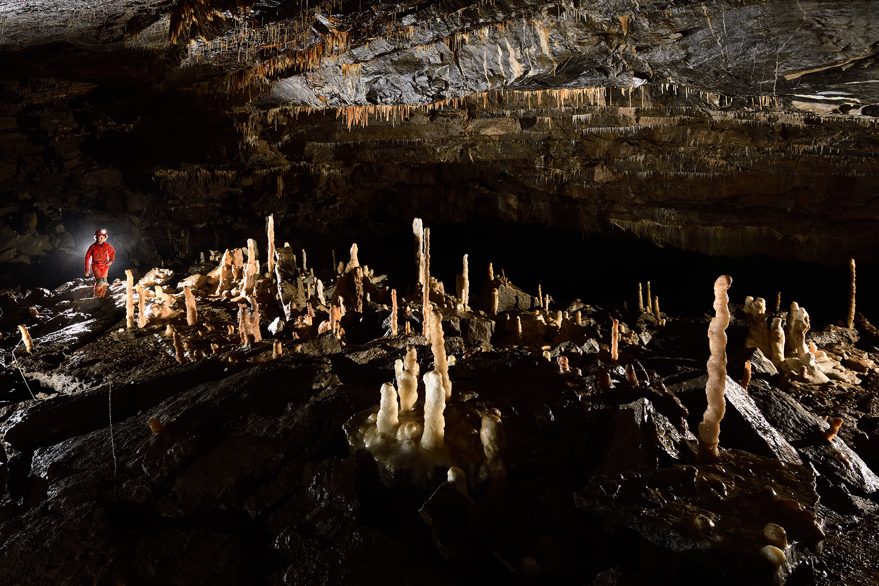Grotte de Han (réseau sud) - Salle de la Pentecôte : vue d'ensemble de la partie sommitale avec ses nombreux cierges