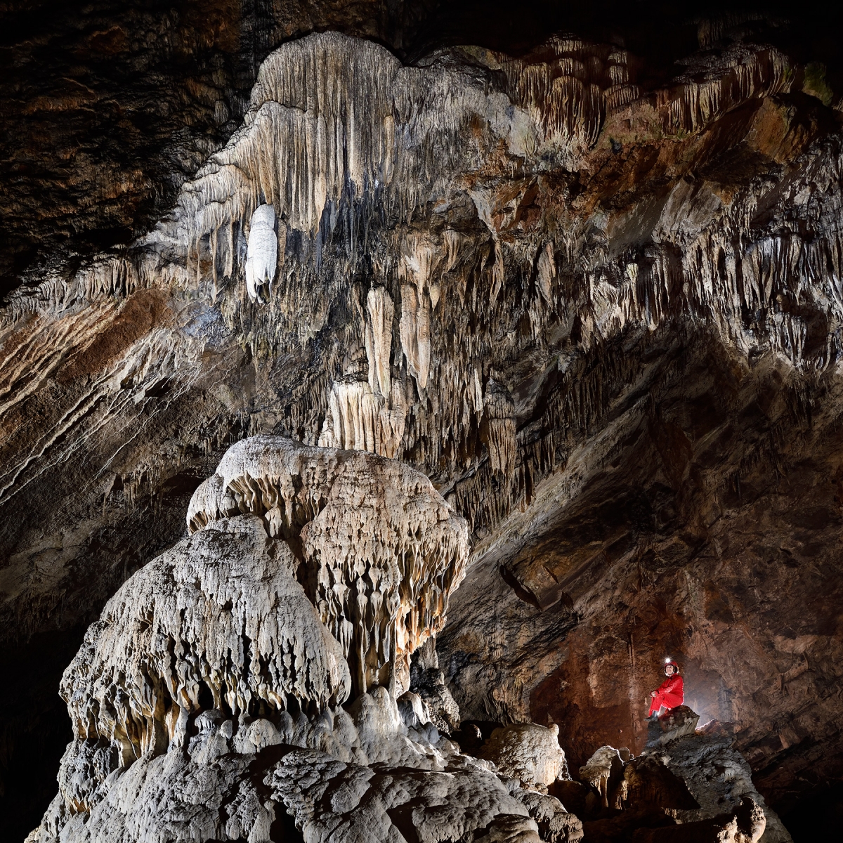Grotte de Han (partie touristique) - Vue d'ensemble du Trophée