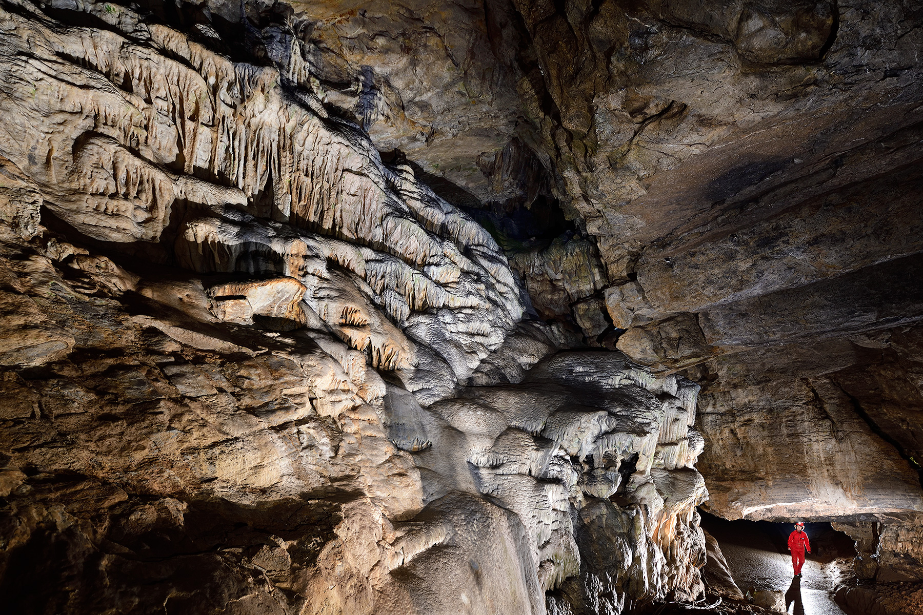 Grotte de Han (partie touristique) - Paroi couverte de coulées de calcite (la "Cascade")