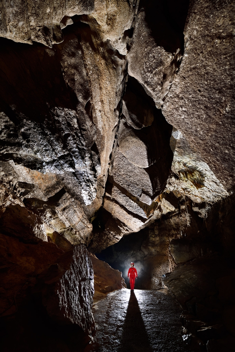 Grotte de Han (partie touristique) - Galerie Lannoy avec des failles verticales visibles au plafond