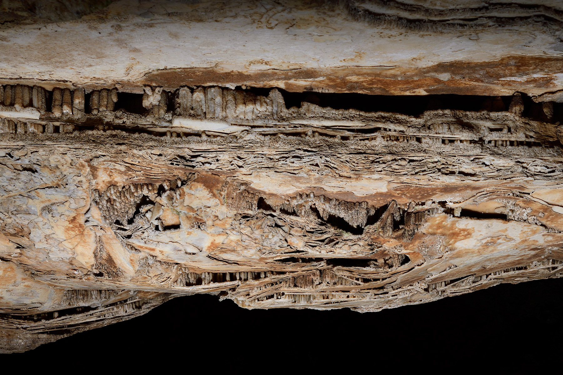 Grotte de Han (partie touristique) - Détail d'un plancher stalagmitique avec de petites baguettes de gour et d'anciens dépôts de calcite flottante