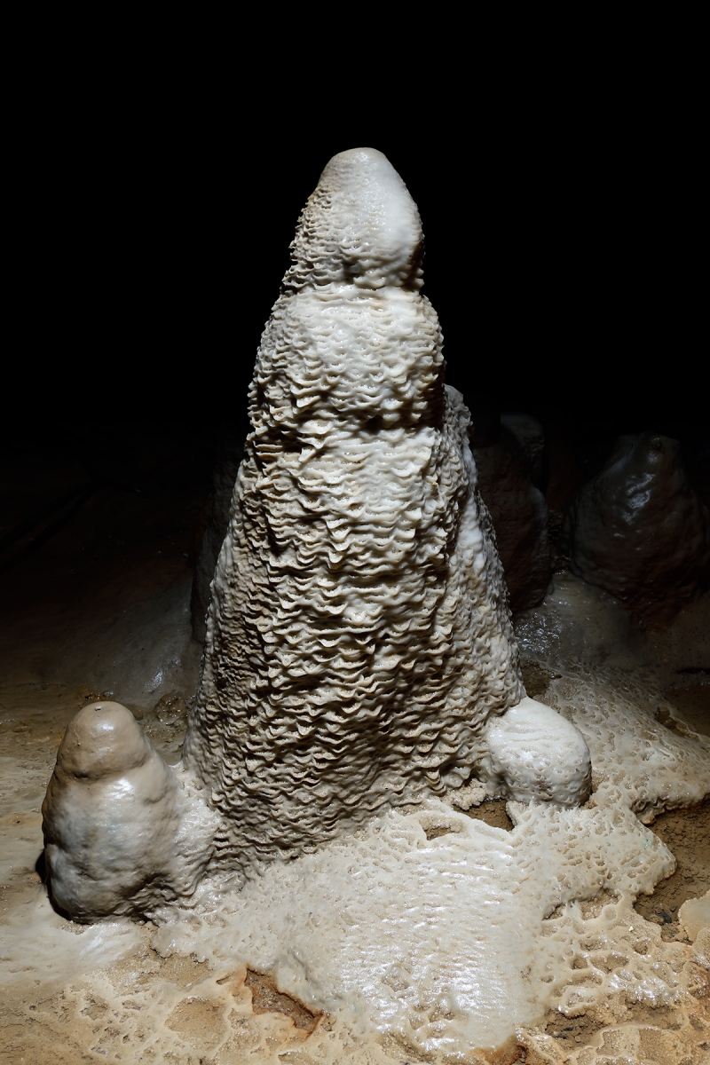 Grotte de Han (partie touristique) - Petite stalagmite couverte de micro gours dans la Galerie des Merveilleuses