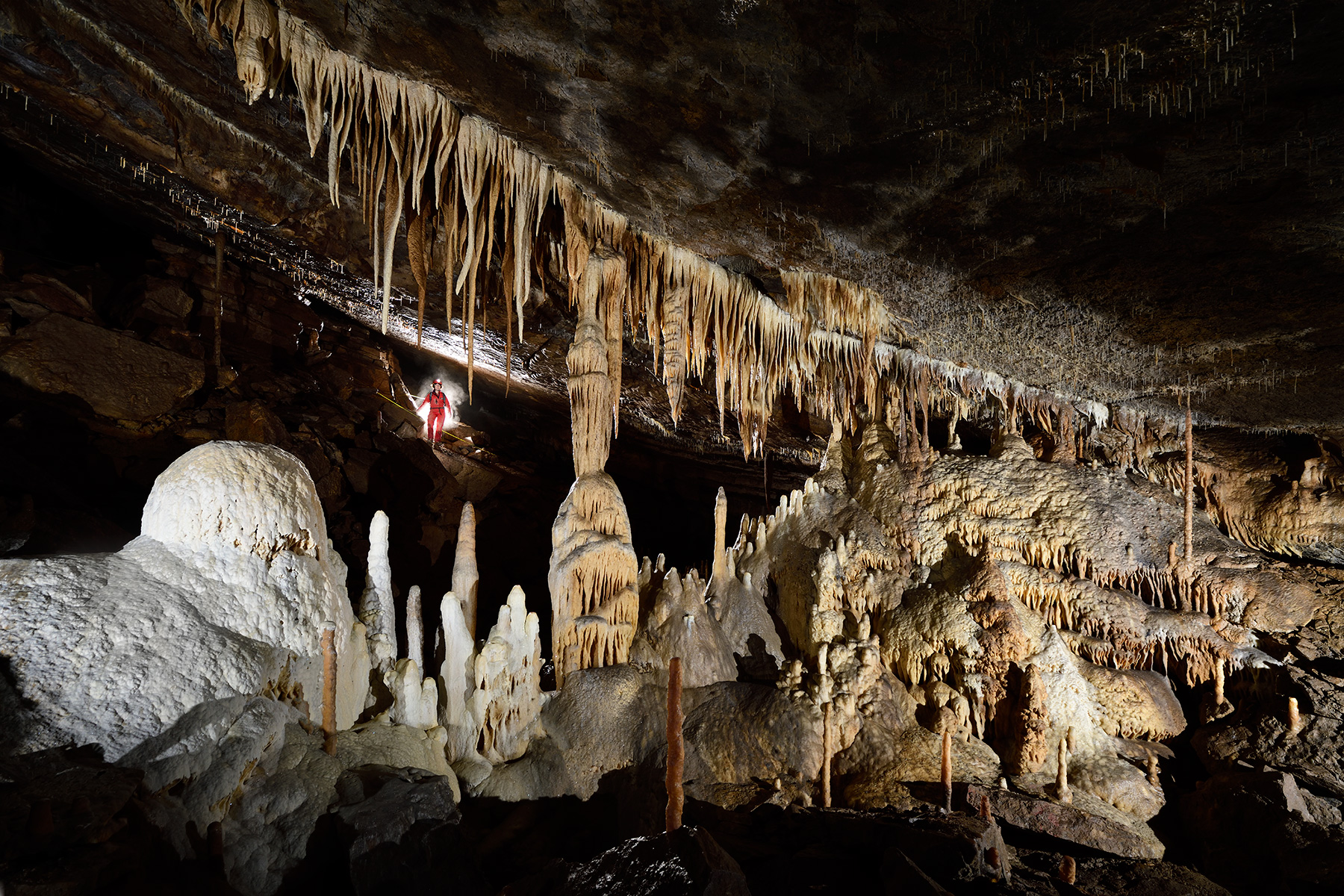 Grotte de Han (réseau sud) - Barrière de massifs stalagmitiques et de stalactites (la "Grille") : vue générale
