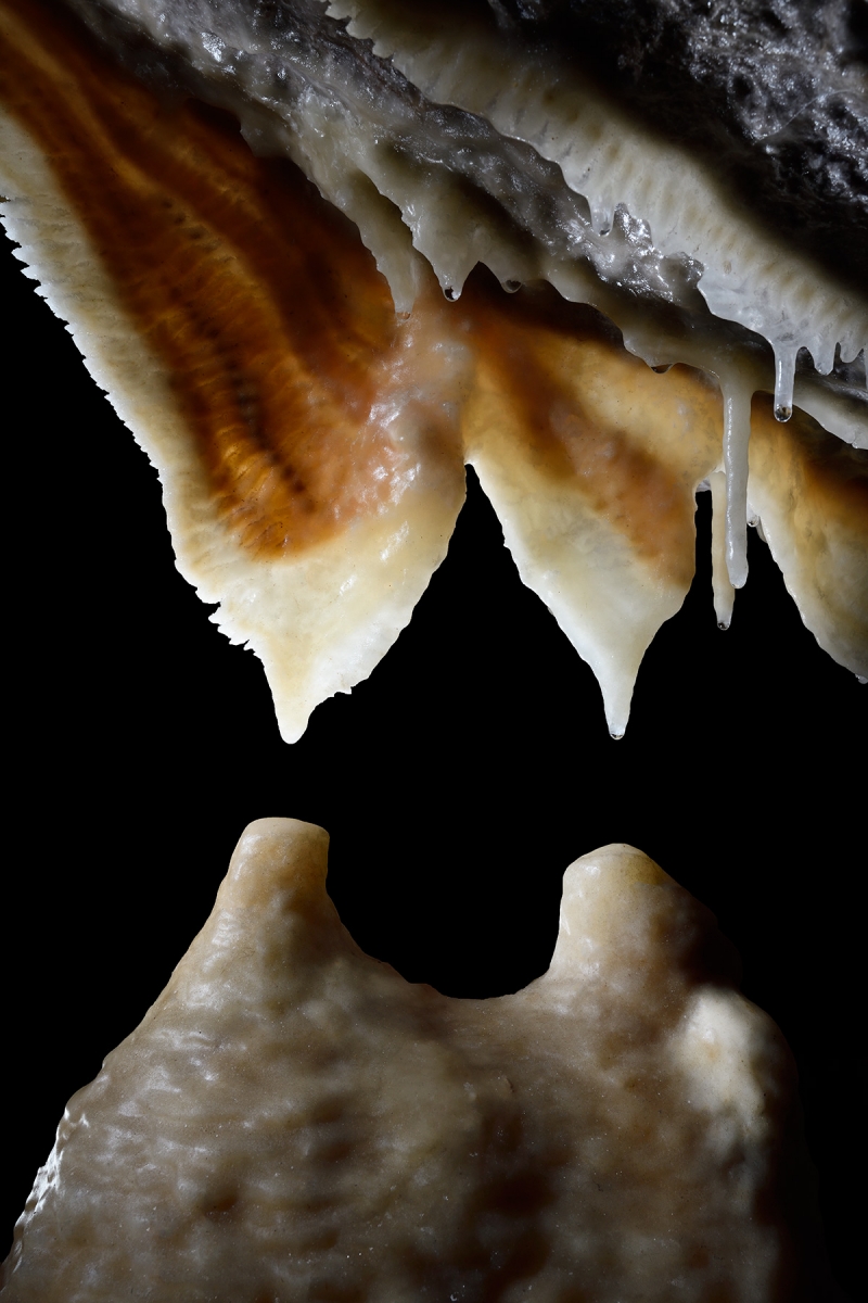 Grotte de Han (réseau Sud) - Ensemble de  deux petites draperies jumelles au dessus de deux mamelons stalagmitiques