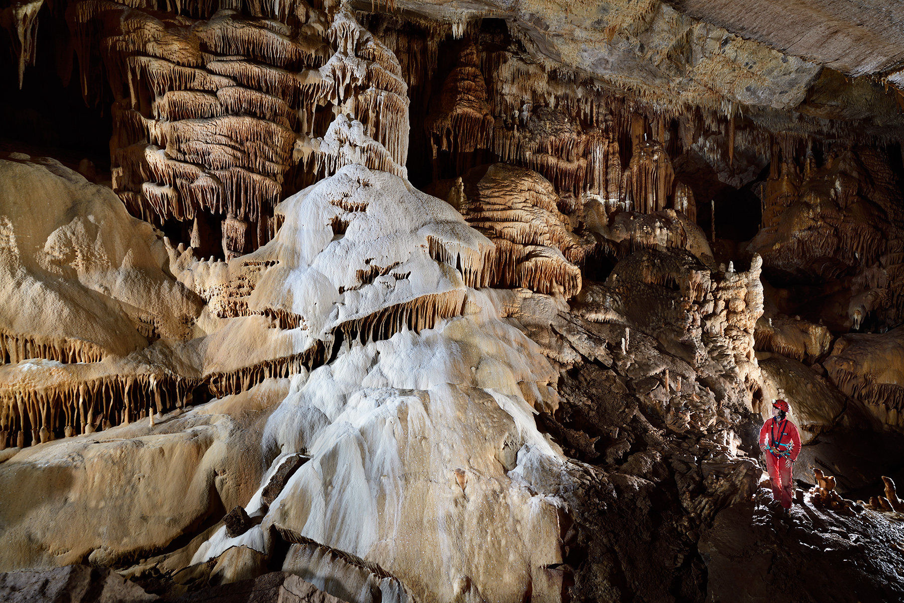 Grotte du Père Noël - Paroi couverte de grandes coulées de calcite dans la Salle du Cobra.