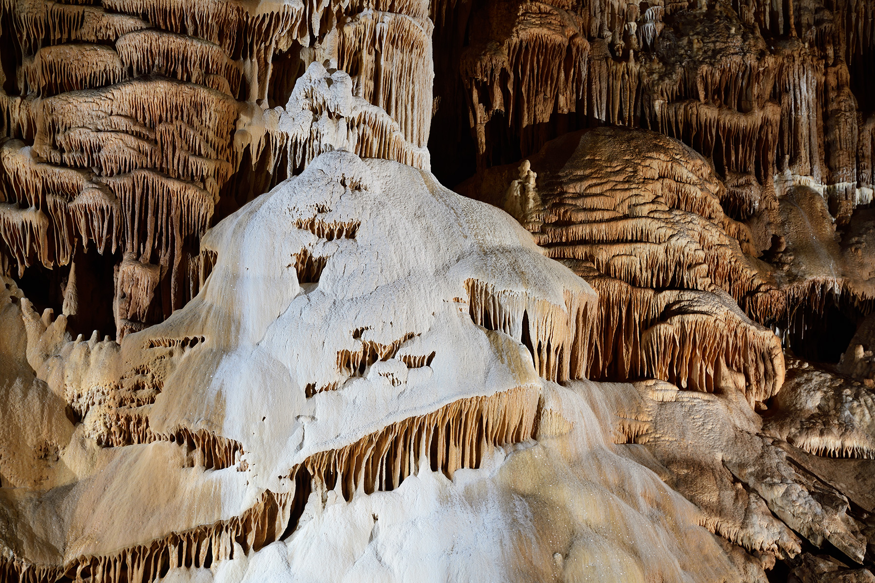 Grotte du Père Noël - Paroi couverte de grandes coulées de calcite dans la Salle du Cobra (détail d'une coulée blanche)