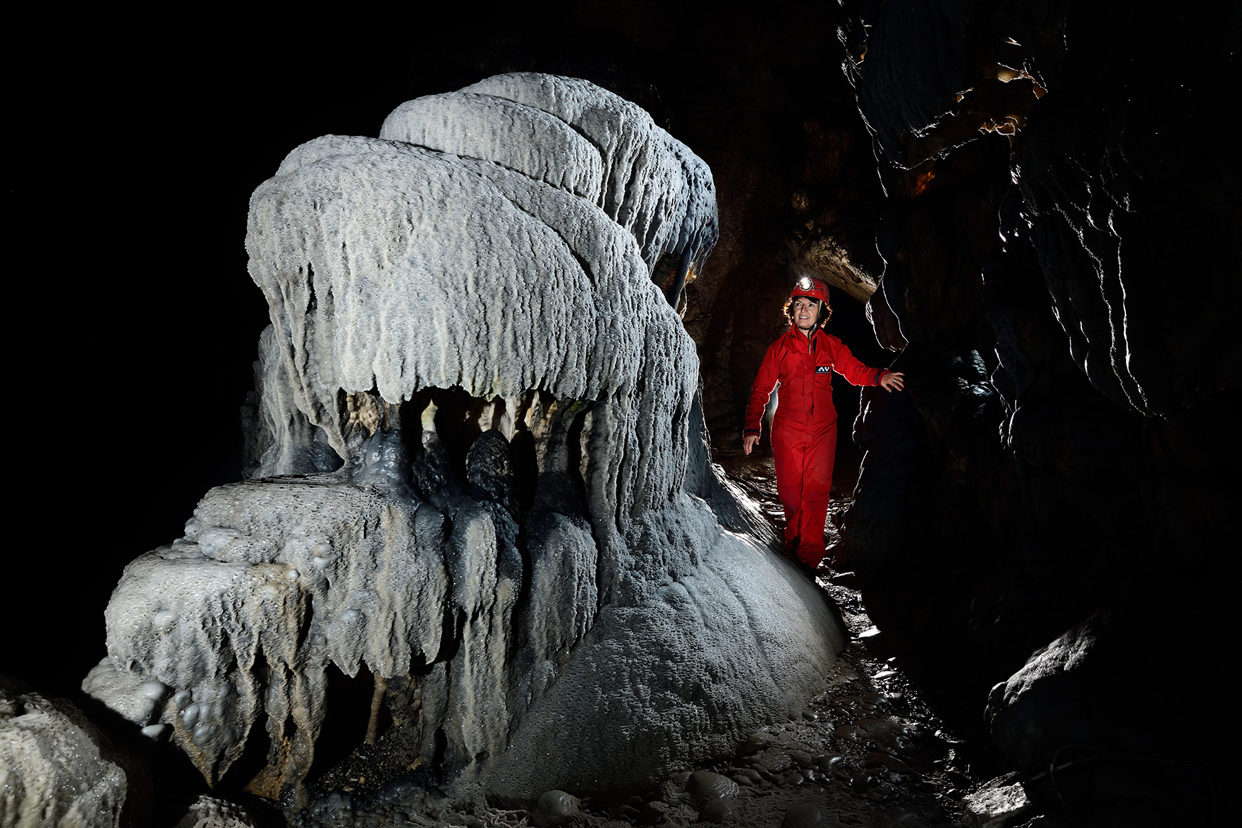 Grotte de Han (partie touristique) - Le Berceau de Proserpine : massif stalagmitique de calcite blanche 