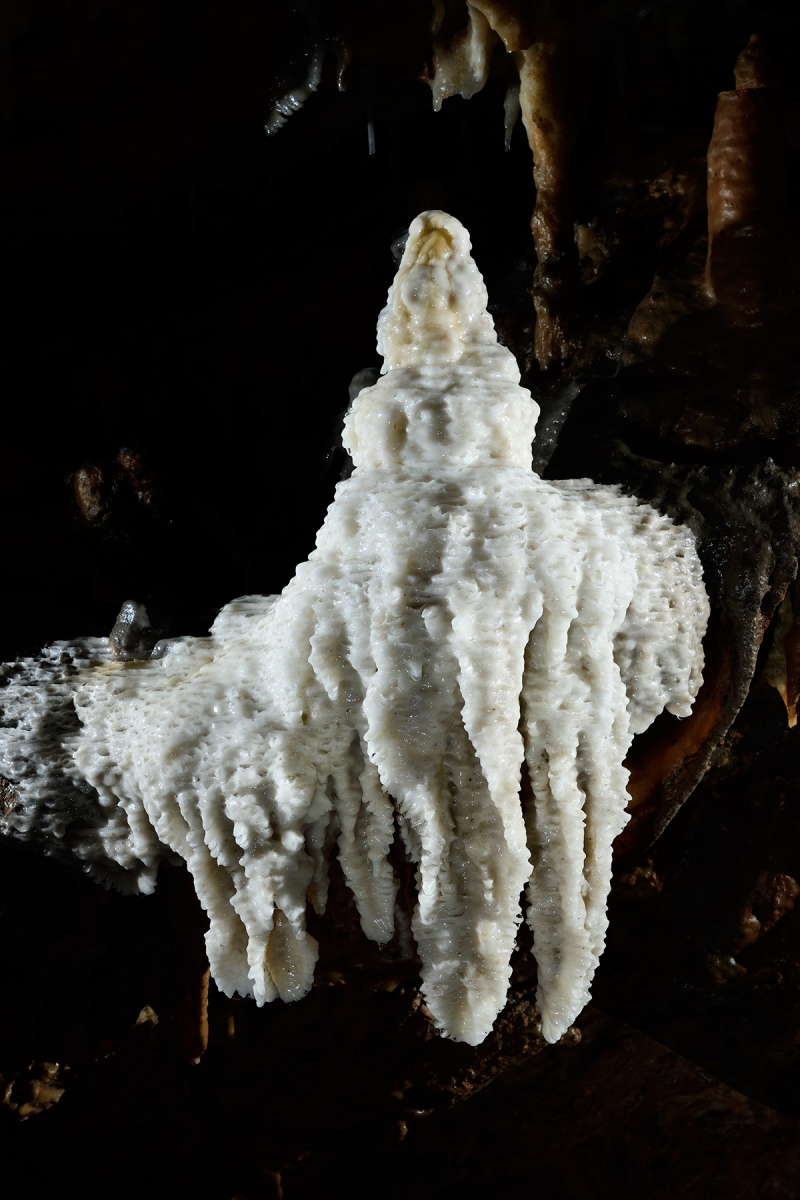 Grotte de Han (partie touristique) - Concrétion blanche avec micro gours sur une paroi de la Galerie des Vervietois