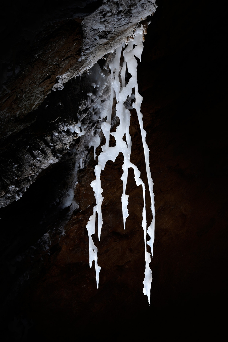 Grotte de Roquebleue (Hérault) - Ensemble de stalactites excentriques (la "Zoubida")