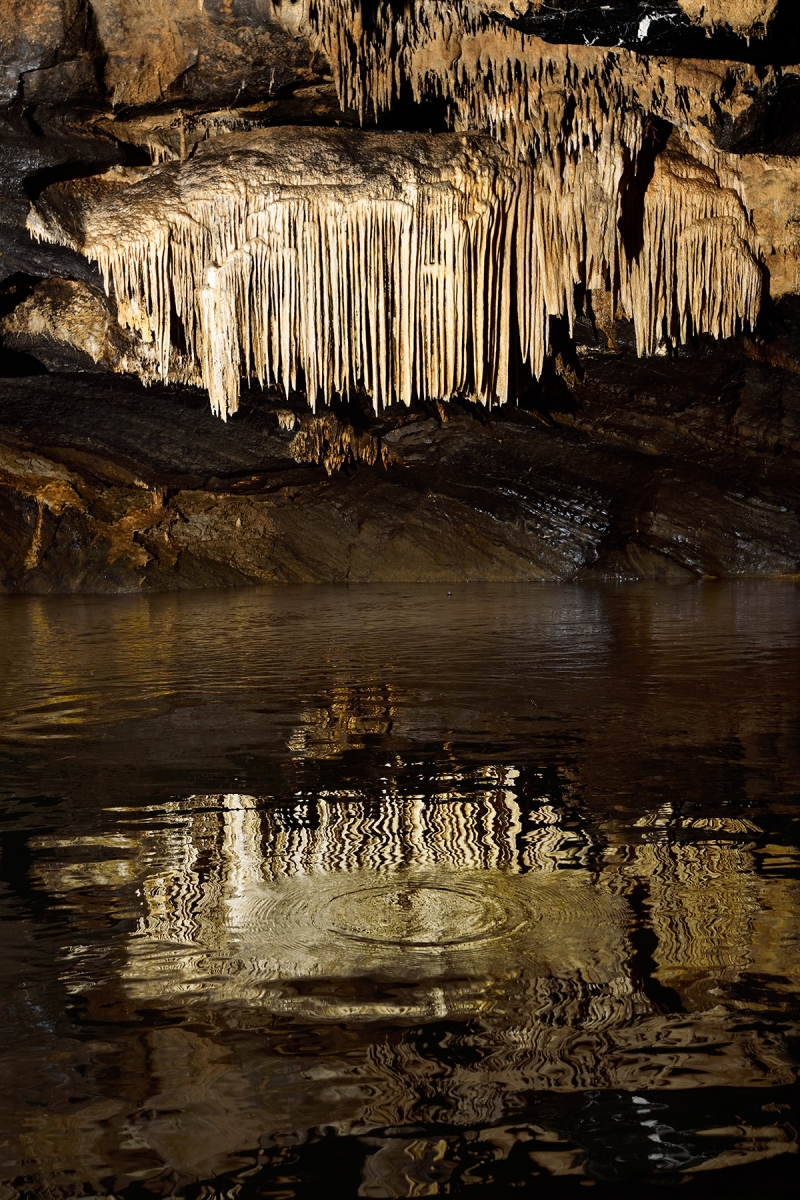 Grotte de Han (partie touristique) - rideau de stalagmites se reflétant dans la rivière