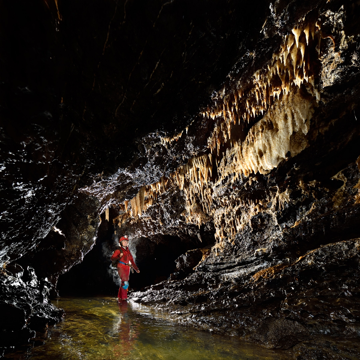 Grotte de Han (réseau sud) - rivière dans "l'Egout"