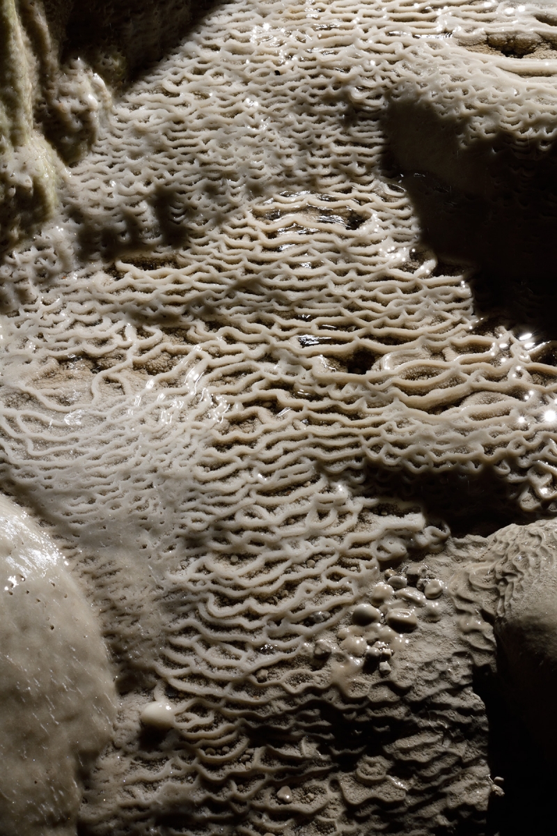 Grotte de Han (partie touristique) - Détail de microgours au pied du Berceau de Proserpine 