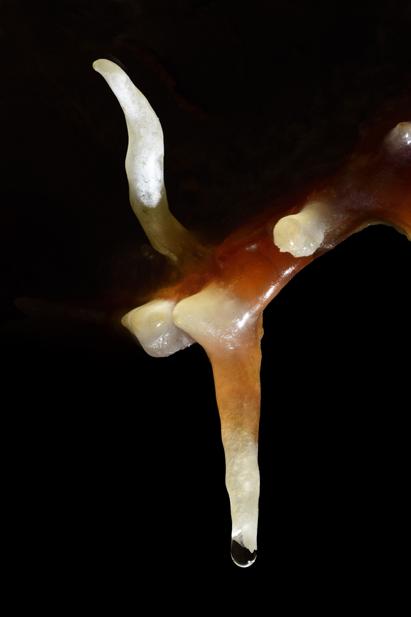Grotte du père Noël - Petite stalactite surmontée par une excentrique