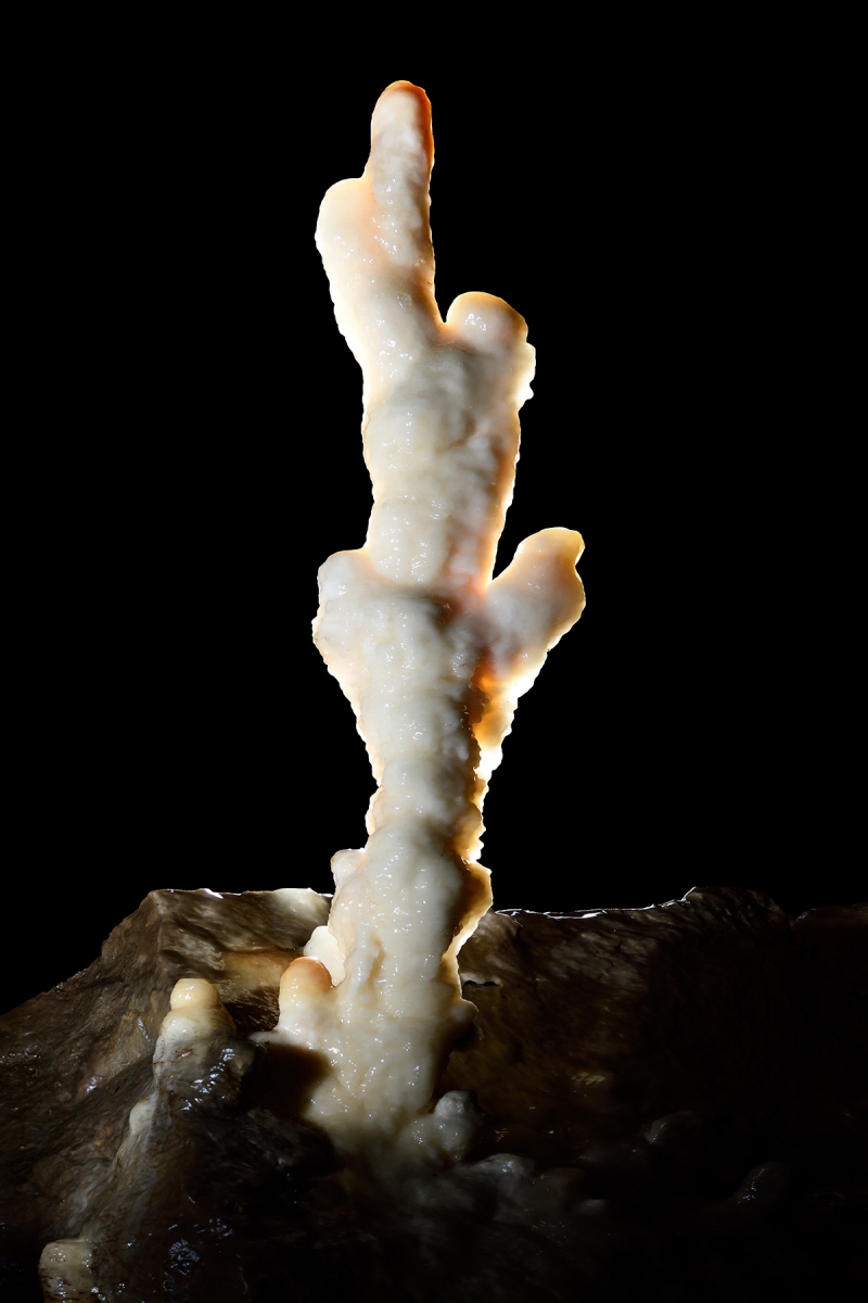 Grotte du père Noël - stalagmite en forme de cactus. 