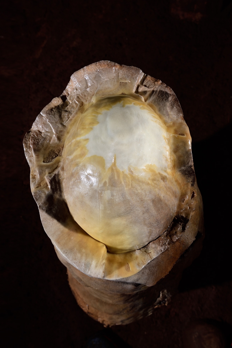 Gruta Nossa Sra. Aparecida (Mato Grosso do Sul, Brésil) - Sommet d'une stalagmite décalottée ("crâne de moine") 