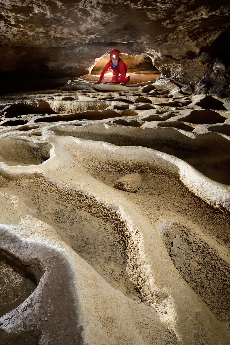 Grotte de Trabuc (Gard) - Salle du Lion : ensemble de gours secs
