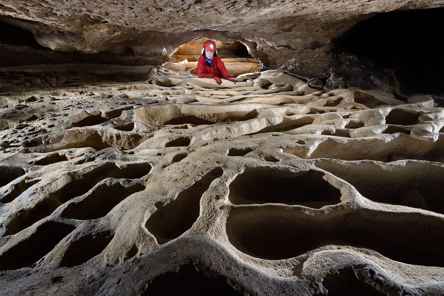 Grotte de Trabuc (Gard) - Salle du Lion : ensemble de gours secs