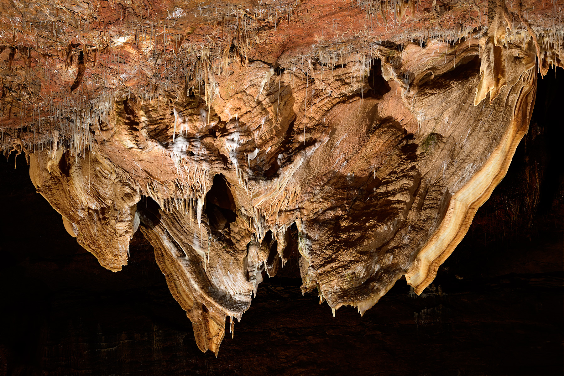 Grotte de Trabuc (Gard) - Le "Papillon" au dessus de la salle du Lac de Minuit (partie aménagée)