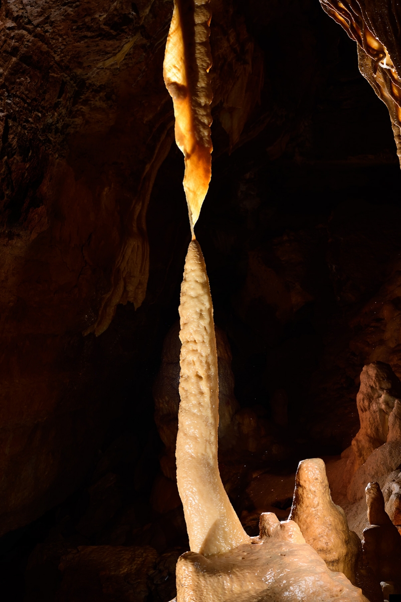 Grotte de Trabuc (Gard) - "Stalactite-draperie fusionnant avec une grande stalagmite dans le couloir des merveilles (partie aménagée)