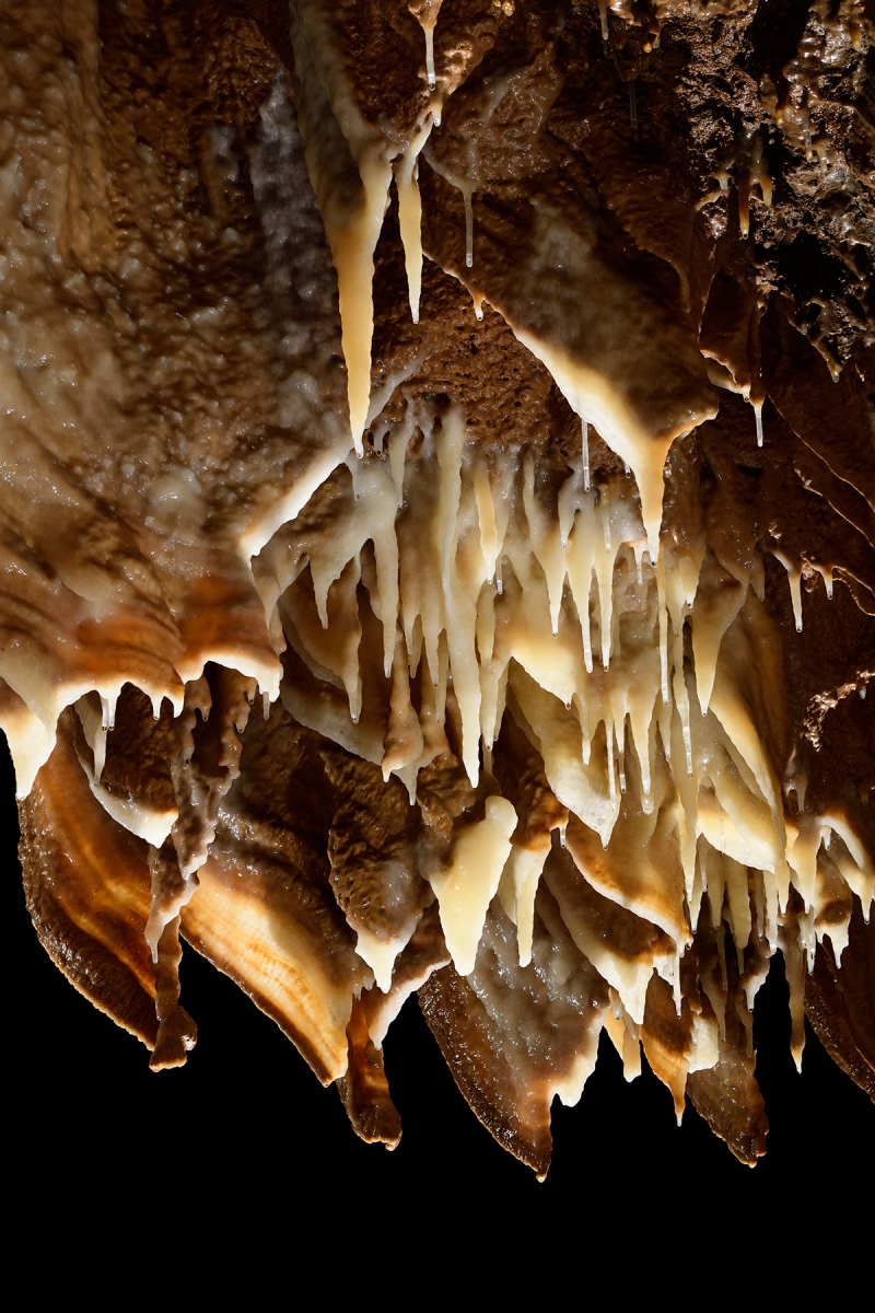 Grotte de Trabuc (Gard) - Ensemble de stalactites et de draperies dans le couloir des merveilles (partie aménagée)
