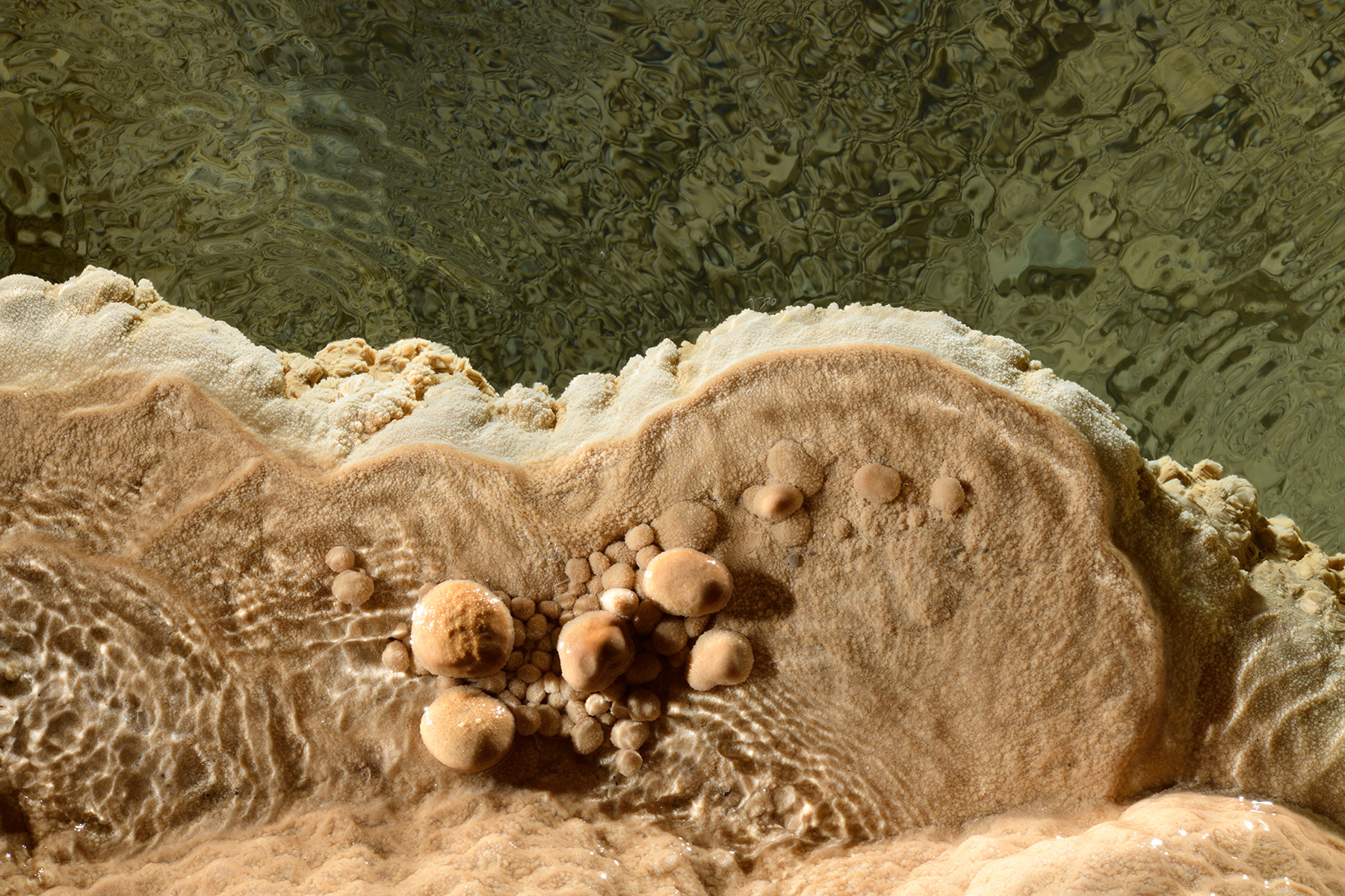 Grotte de Trabuc (Gard) - Bordure d'un gour dans la salle du Lac de minuit