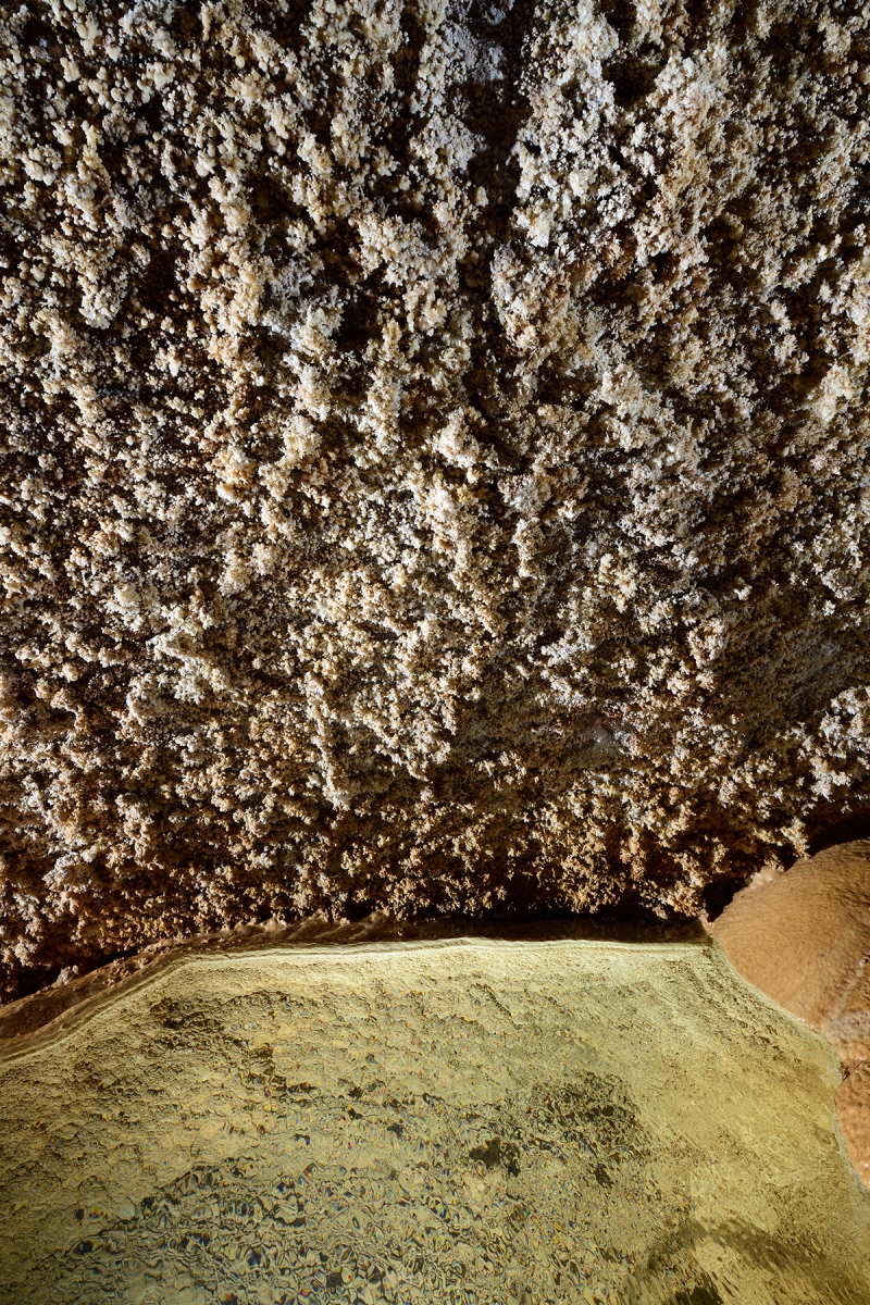 Grotte de Trabuc (Gard) - Paroi cristallisée au dessus d'un petit gour dans la salle du Lac de minuit