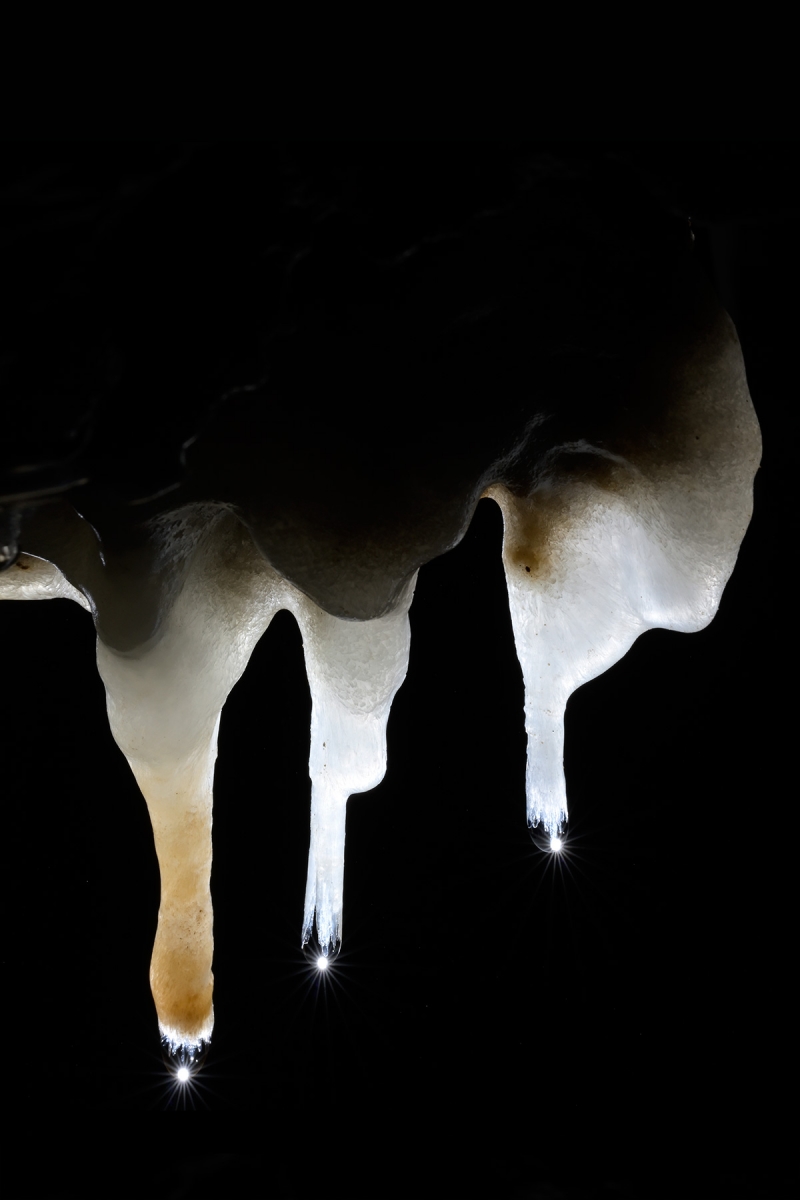 Grotte de l'Orquette (Hérault) - Ensemble de stalactites translucides