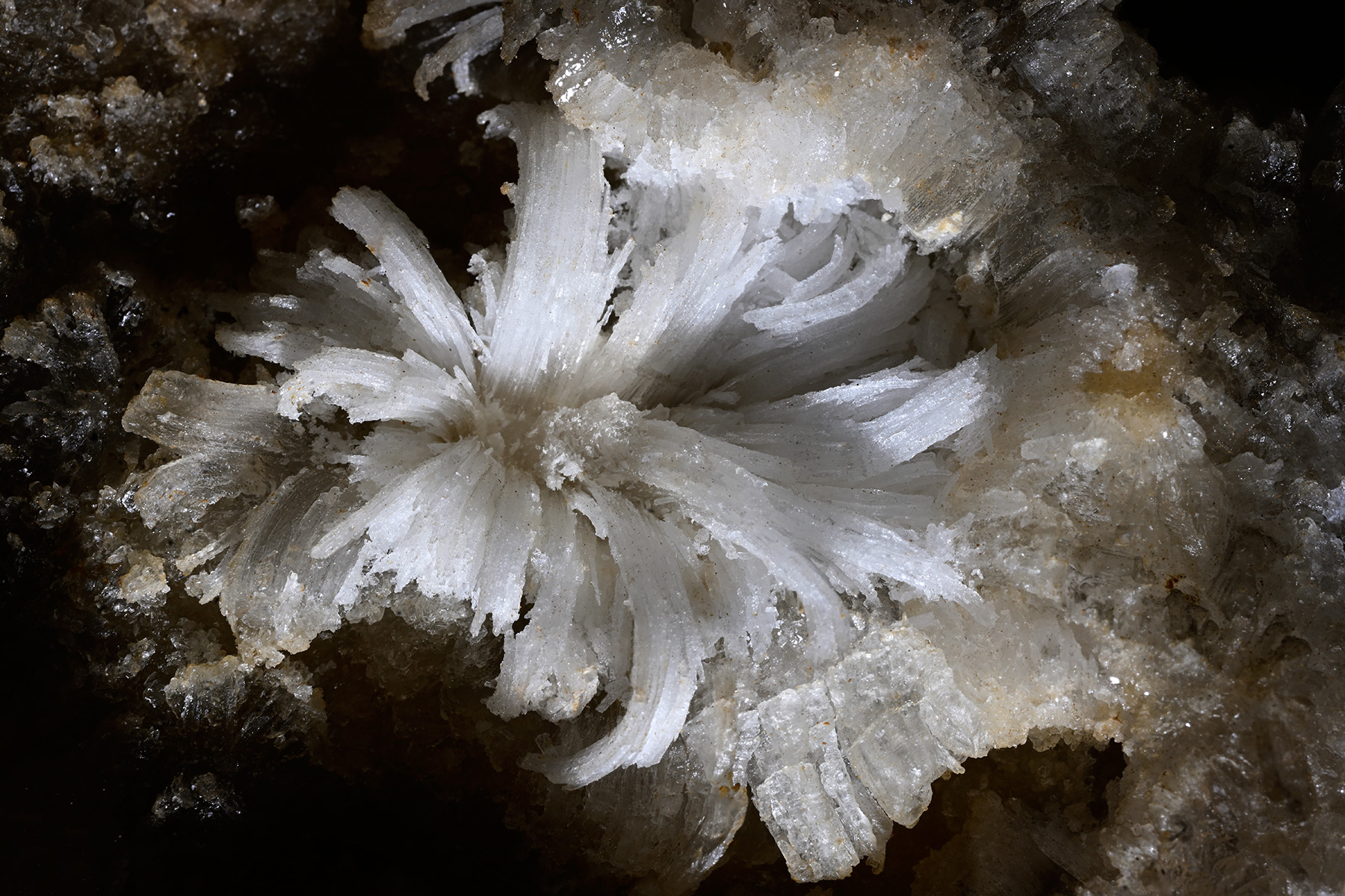 Rapps Cave (Virginie occidentale, USA) - Fleur de gypse