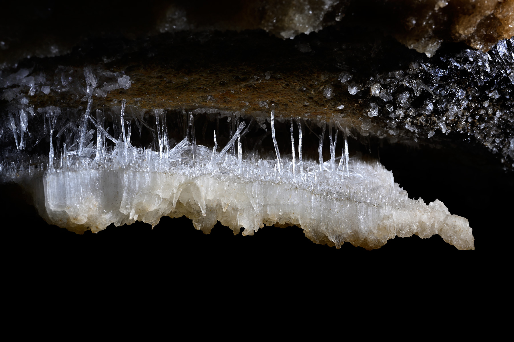 Rapps Cave (Virginie occidentale, USA) - Plaque de gypse rattaché au plafond par de fins filaments 