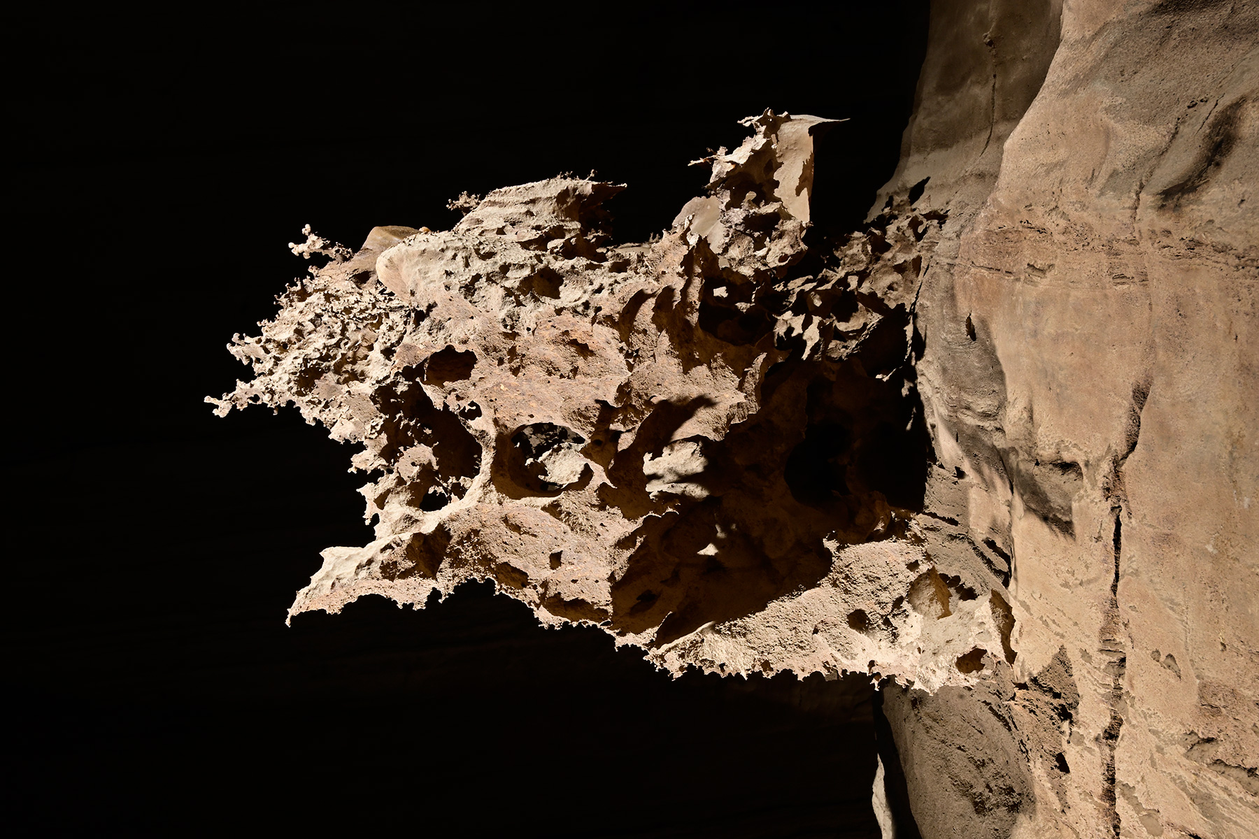 Warm river cave (Virginia, USA) - Ancienne concrétion corrodée sur une paroi 