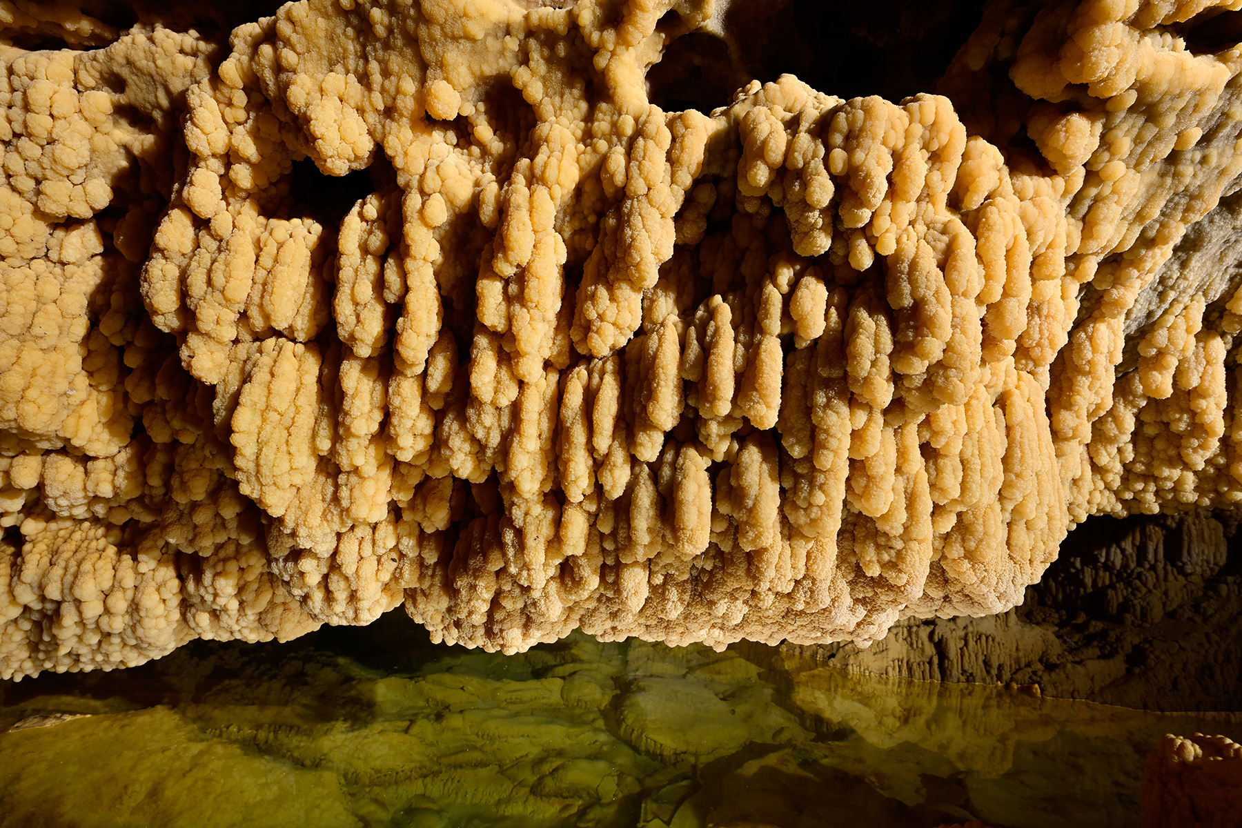 Grotte de Vallorbe (Suisse) - Baguettes de gours (partie aménagée)