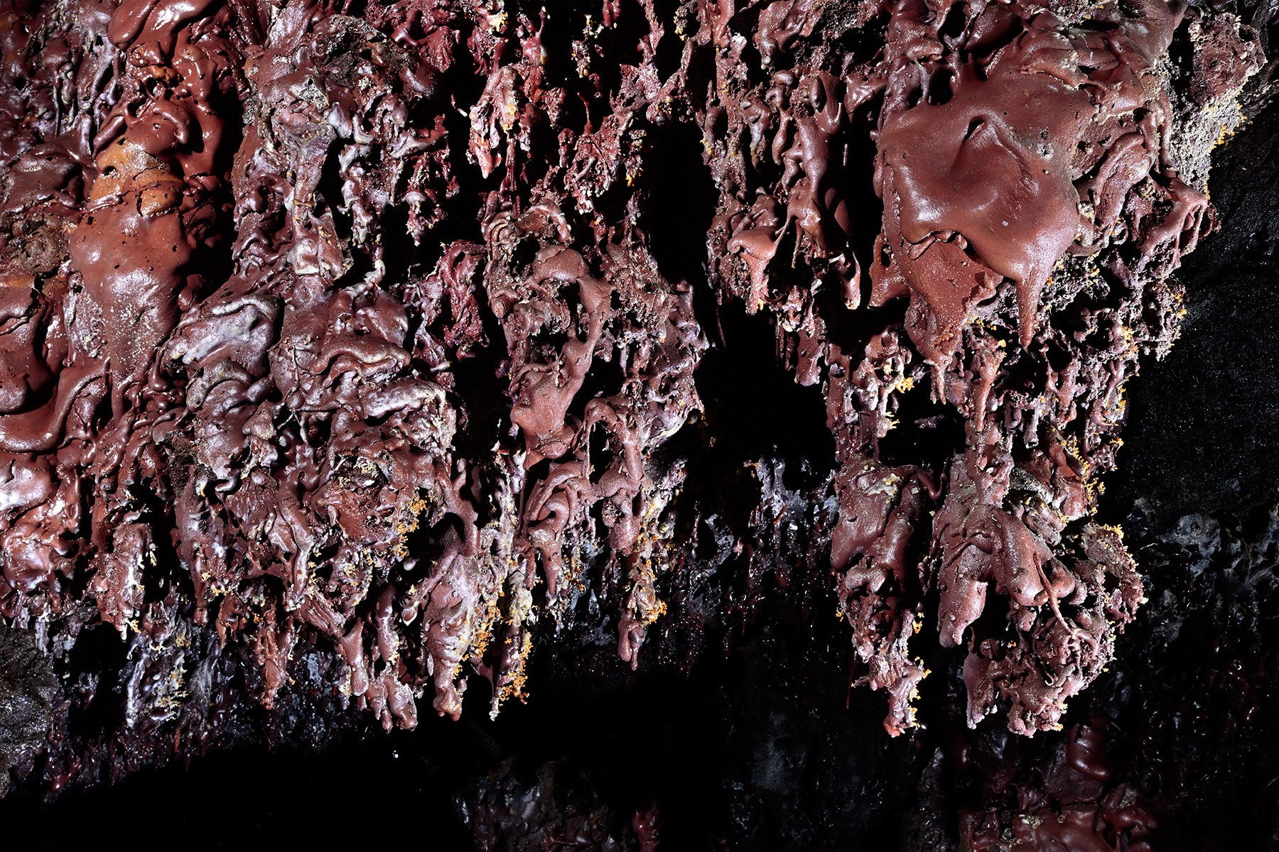 Tunnel de lave du Mapou (La Réunion) - Détail de stalactites rouges sur une paroi