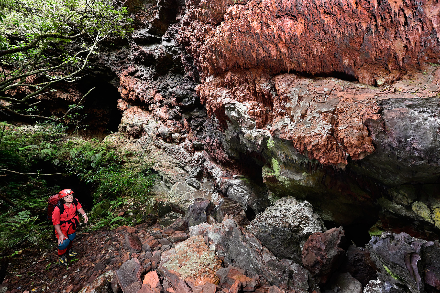 Tunnel de lave du Mapou (La Réunion) - Ensemble de stalactites rouges qui se sont formées par égouttement de la lave dans le tunnel d'entrée