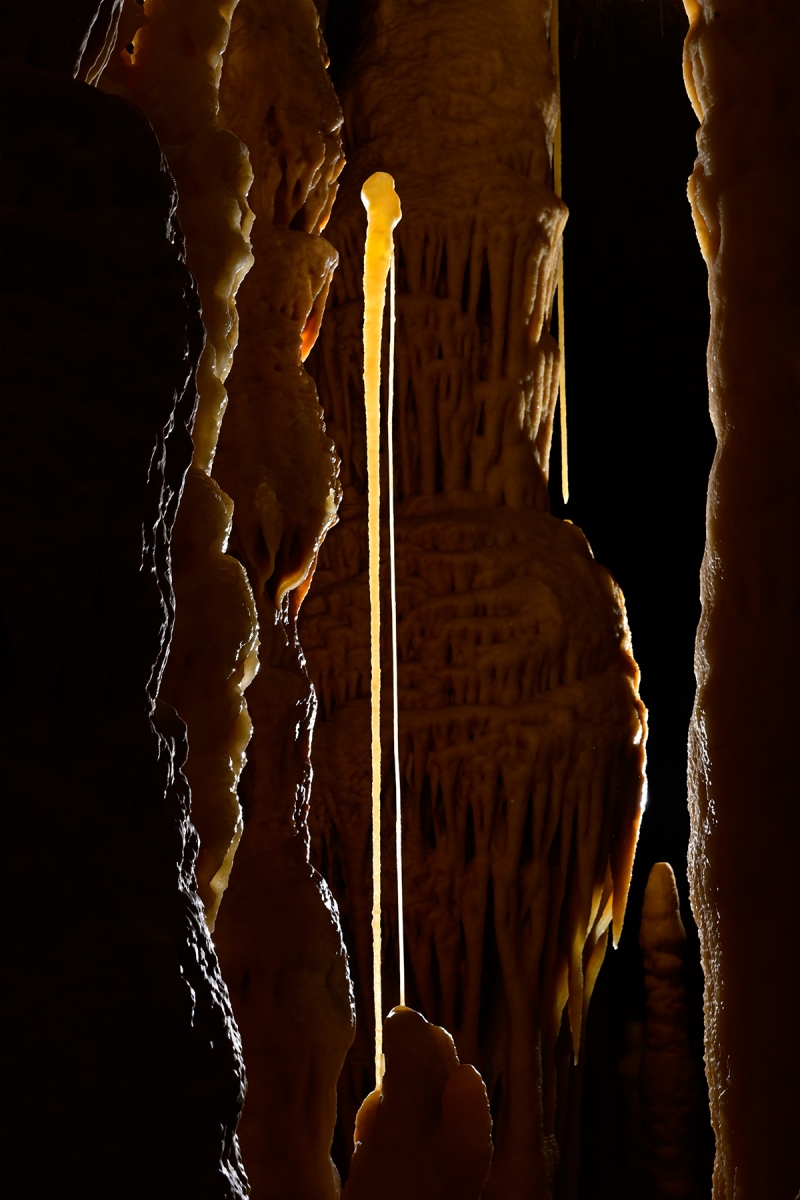 Grotte Flandin (Ardèche) - Deux fistuleuses cassées jointives formant un archer de violon (en contre jour)