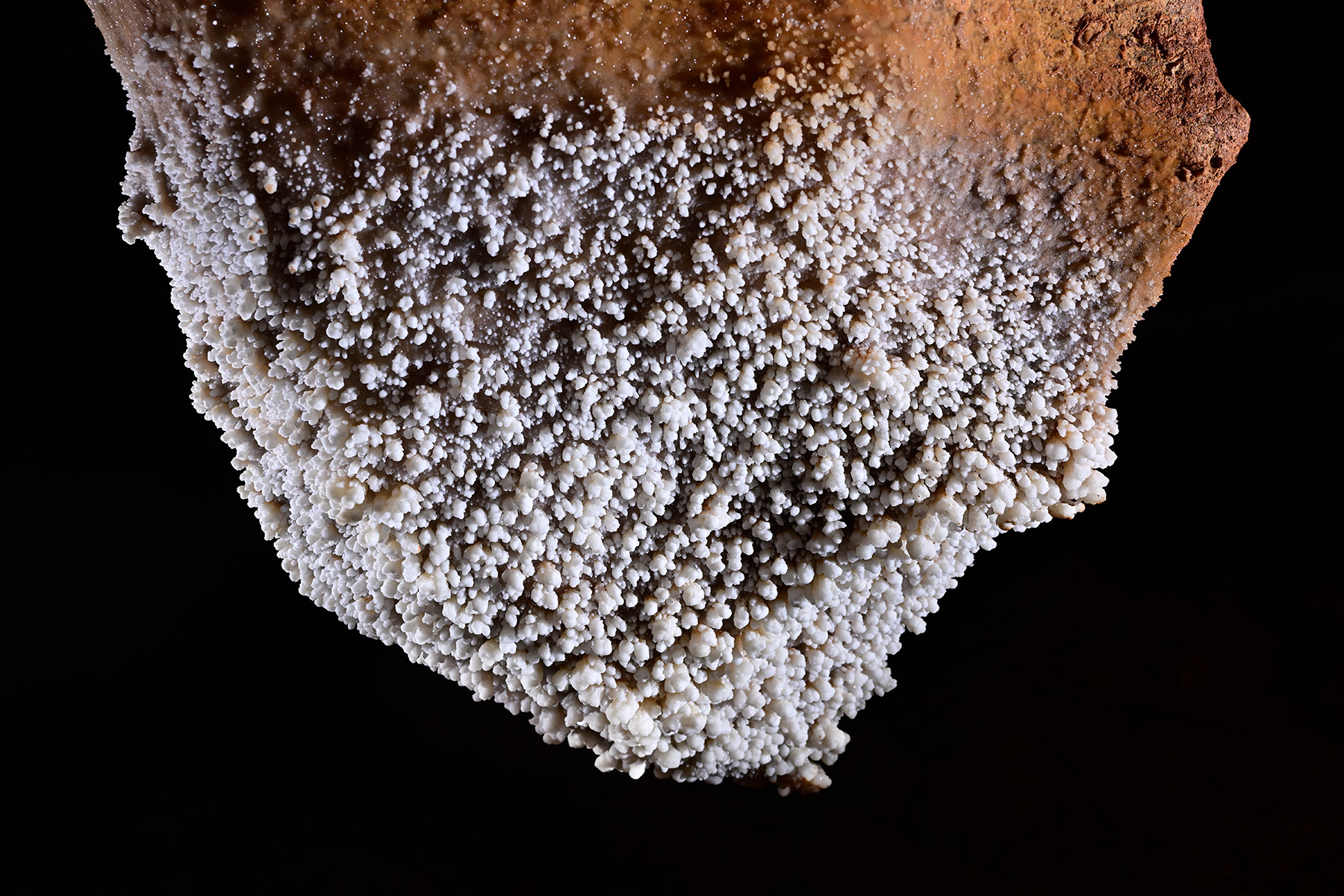 Grotte de Saint-Marcel d'Ardèche (réseau IV) - Tombant couvert de petites boules de calcite blanche dans un gour 