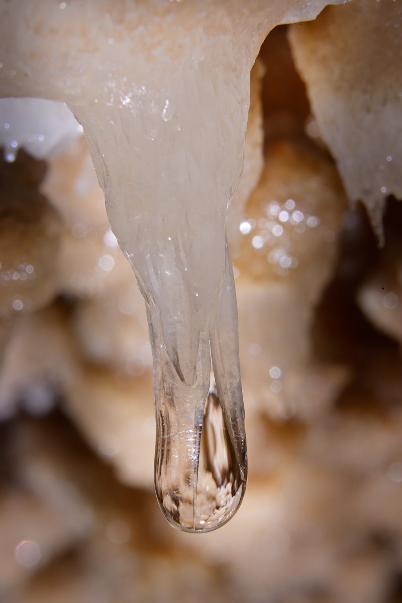 Grotte de Clamouse (Hérault) - Reflets dans une goutte d'eau au bout d'une stalactite
