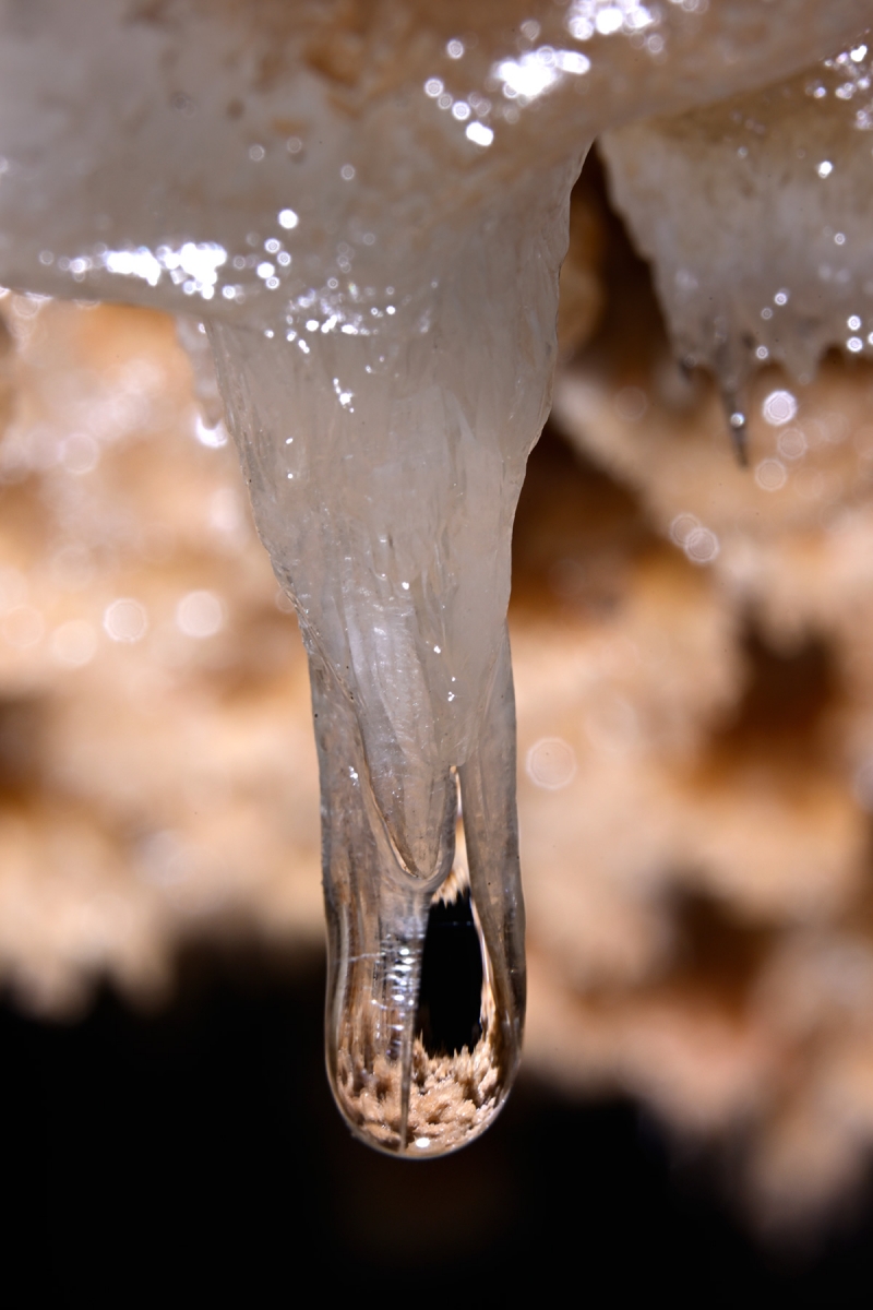 Grotte de Clamouse (Hérault) - Petite stalactite avec cristaux de calcite et reflets dans la goutte d'eau 