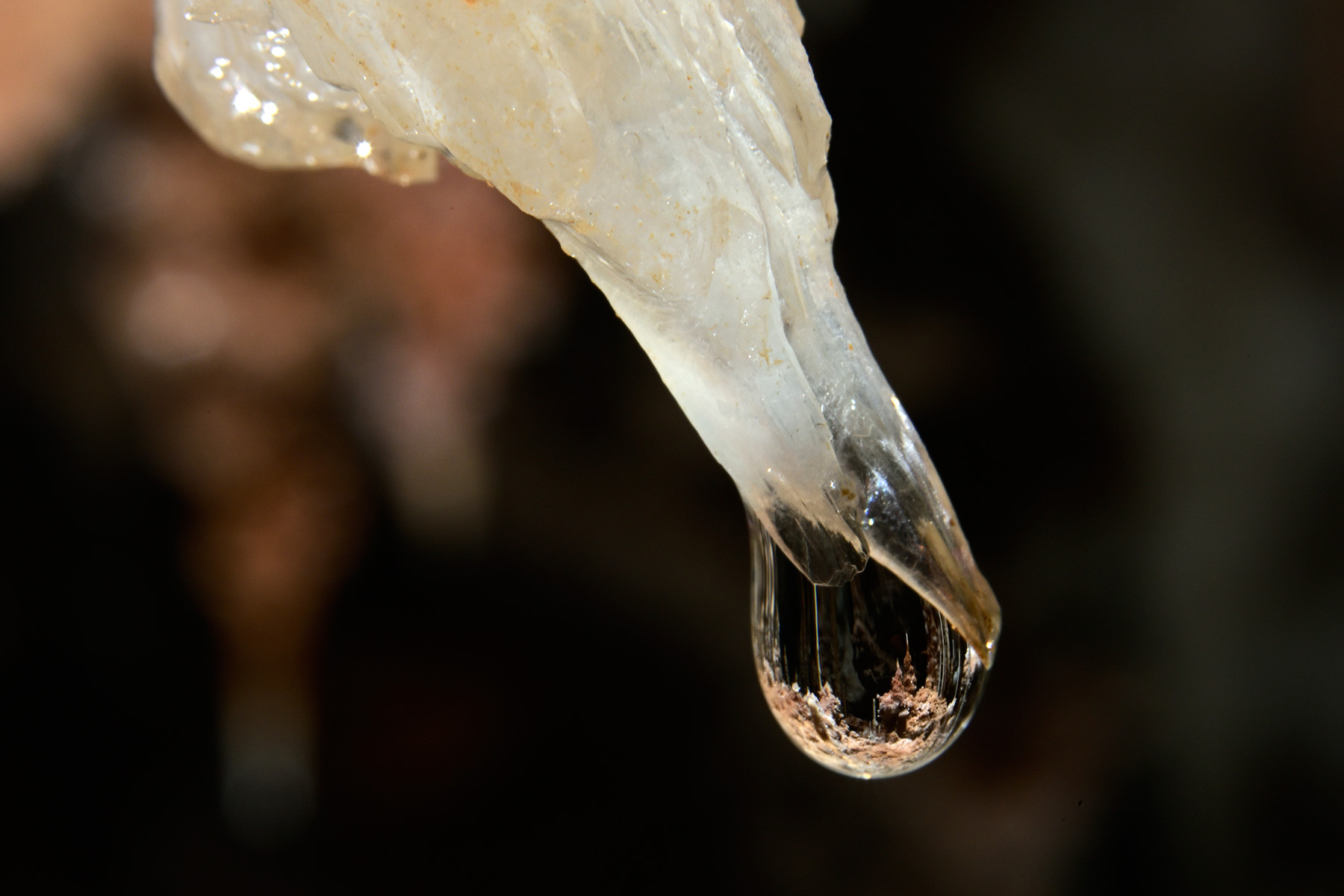 Grotte de Clamouse (Hérault) - Reflets dans une goutte d'eau au bout d'une stalactite oblique
