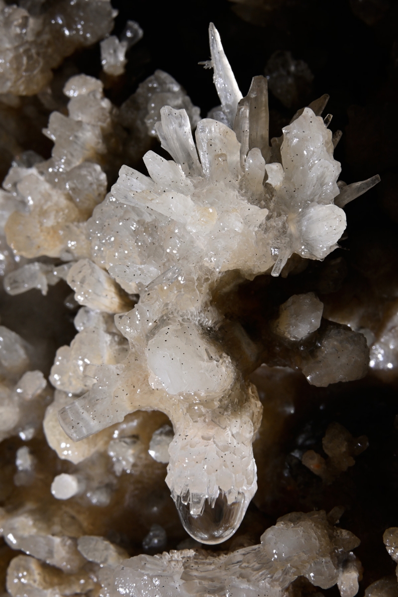 Grotte de Clamouse (Hérault) - Petite stalactite au milieu de cristaux de calcite