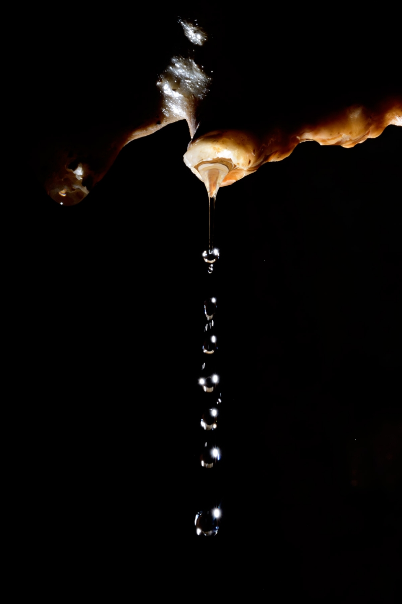 Baume du Mont (Doubs) - Gouttes d'eau en chapelet 