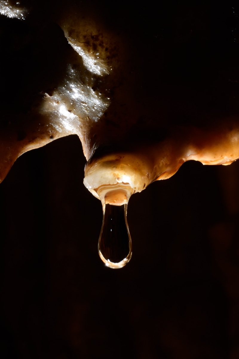 Baume du Mont (Doubs) - Goutte d'eau allongée au départ d'une stalactite