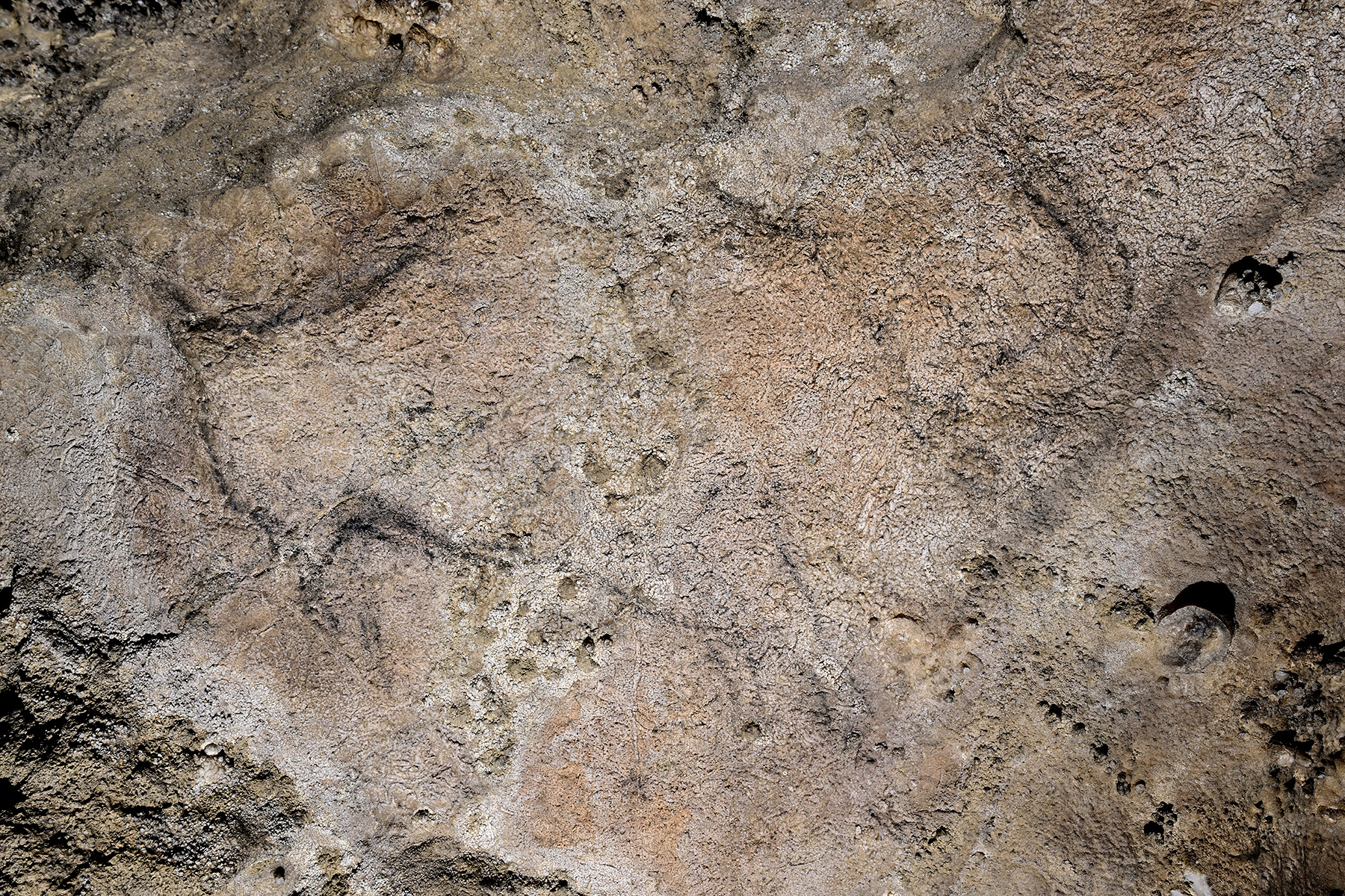 Grotte préhistorique de Bédeilhac (Ariège) - Peinture rupestre d'un bison dans une niche de la salle finale